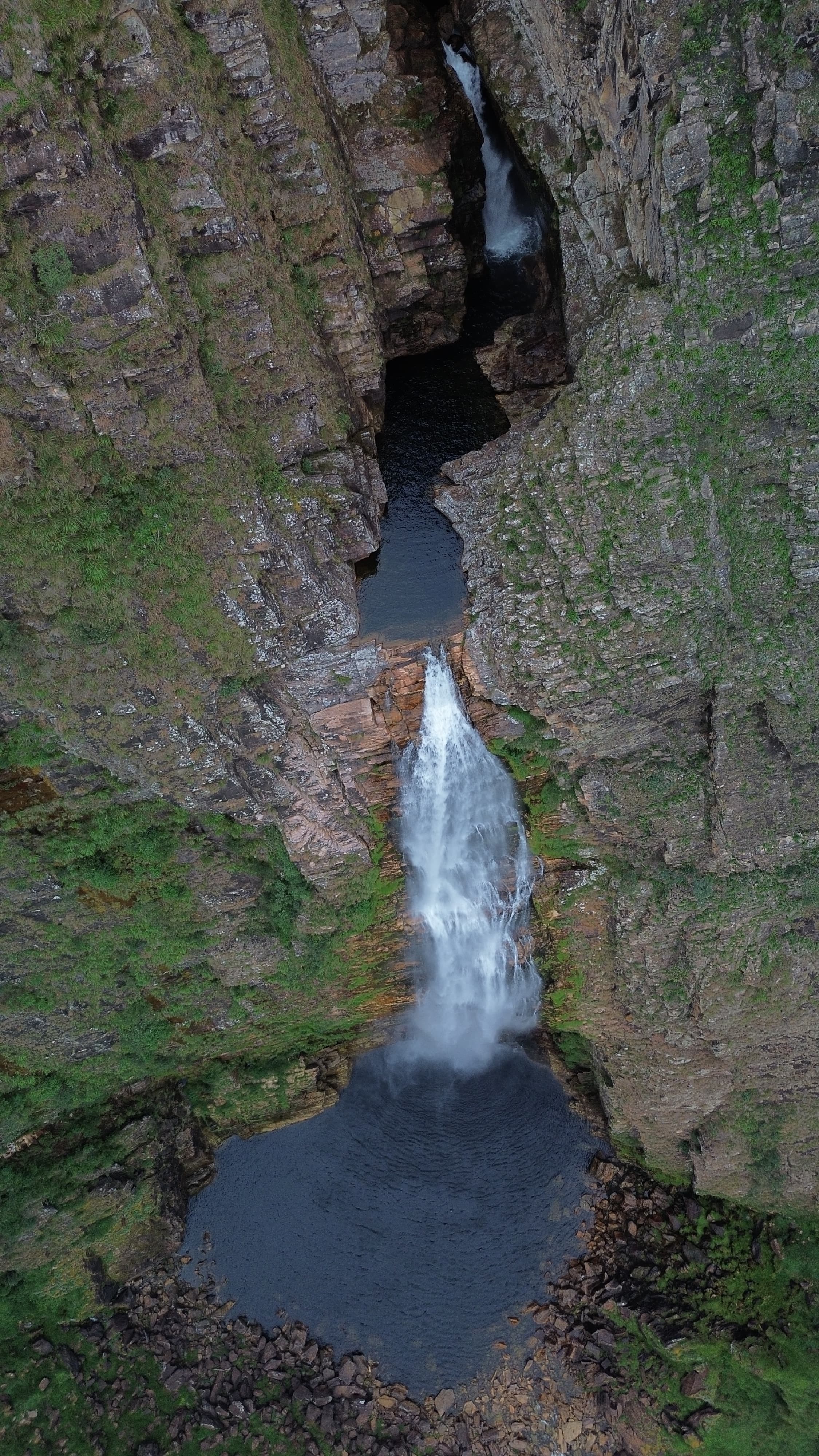 profile-picture-of-Profissional