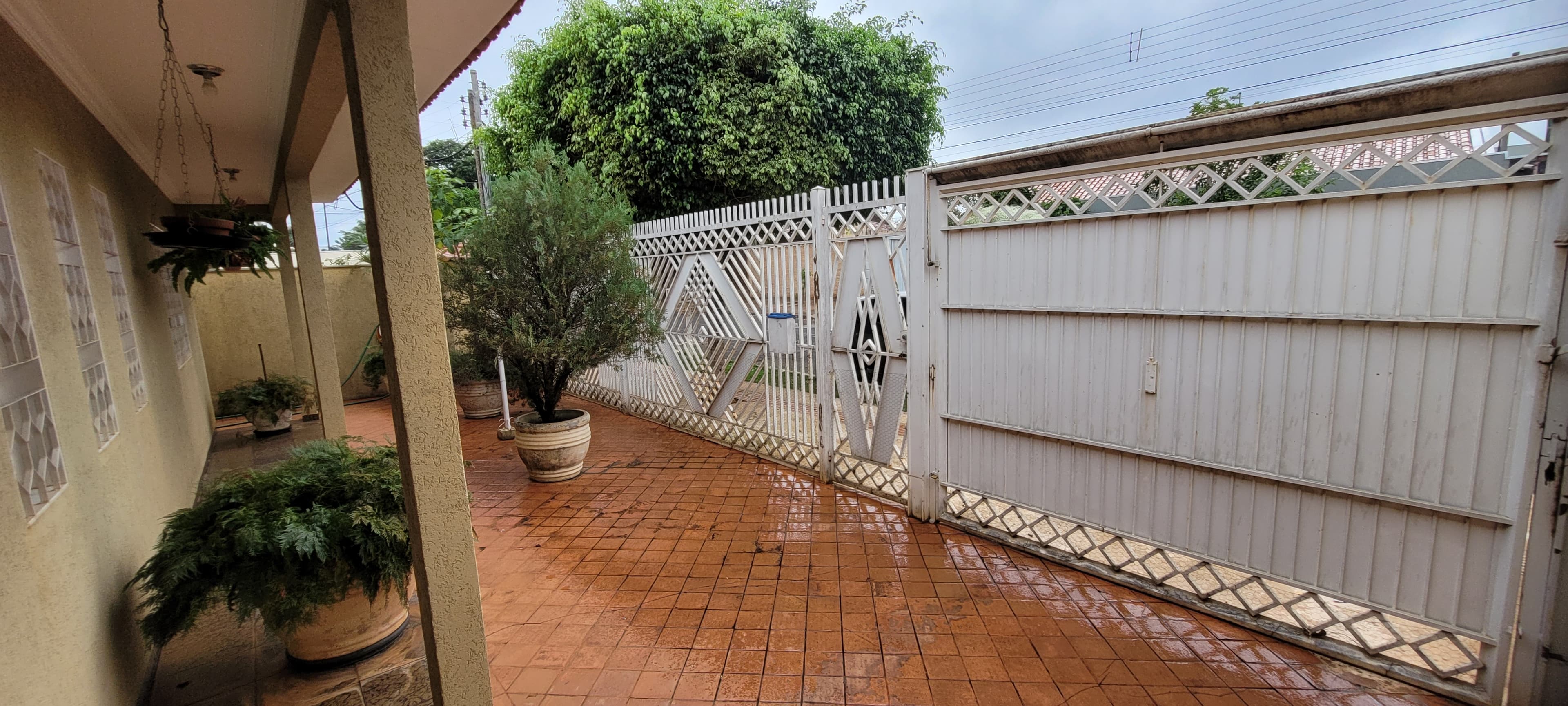 profile-picture-of-Encanador - asas asasas